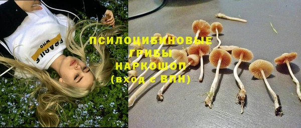 ешки Алексин