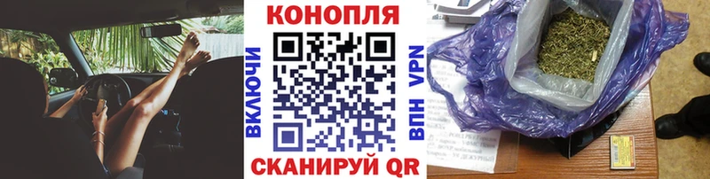 Бошки марихуана конопля  omg маркетплейс  маркетплейс какой сайт  Котово 